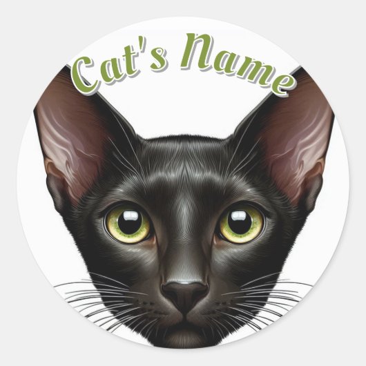 Sticker Rond Joli chat à courte vue d'orient noir ・ Personnalis (Devant)