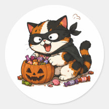 Joli Chat Calicot Voleur de Bonbons