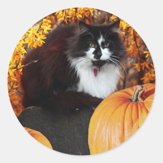 Sticker Rond Joli chevalet de chute (Devant)