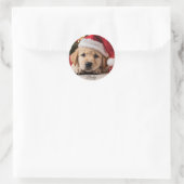 Sticker Rond Joli chiot. Chiot de Noël Retriever (Sac)
