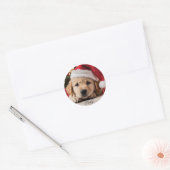 Sticker Rond Joli chiot. Chiot de Noël Retriever (Enveloppe)