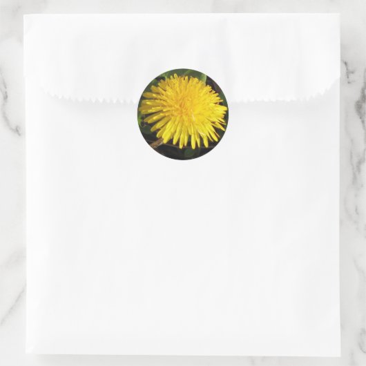 Sticker Rond Joli Dandelion (Sac)