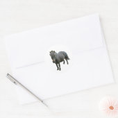 Sticker Rond Joli Dartmoor Pony (Enveloppe)