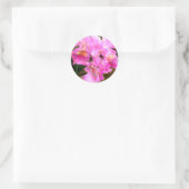 Sticker Rond Joli en Cattleya rose Orchidées (Sac)