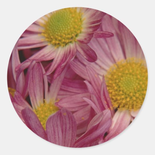 Sticker Rond Joli En Rose : Sceau D'Enveloppe (Devant)