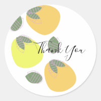 Joli Fruit Orange Jaune Mangue Merci