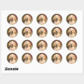 Sticker Rond Joli Golden Retriever Chien Chiot Chiot Visage Ani (Feuille)