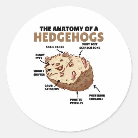 Sticker Rond Joli Hérisson Explication Anatomie D'Un Hérisson (Devant)