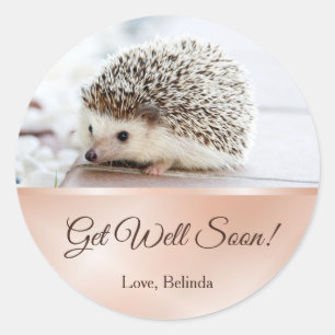 Sticker Rond Joli Hérisson Rose Gold Se tirer bien