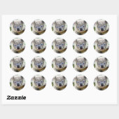 Sticker Rond Joli Koala (Feuille)