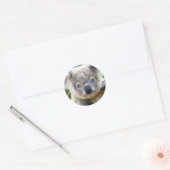 Sticker Rond Joli Koala (Enveloppe)