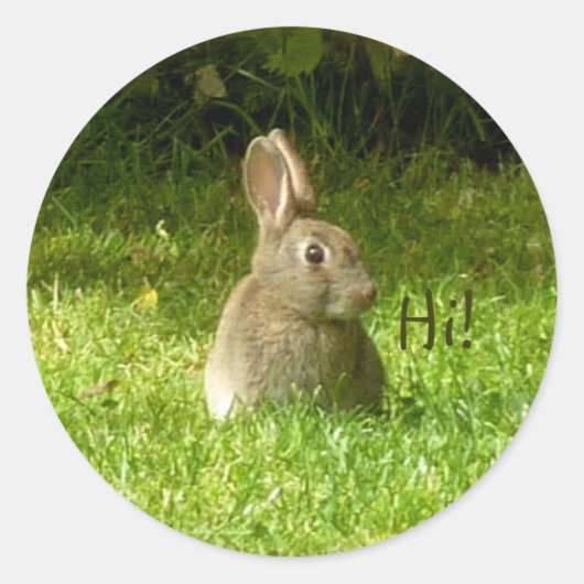Sticker Rond Joli lapin ! (Devant)
