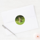 Sticker Rond Joli lapin ! (Enveloppe)