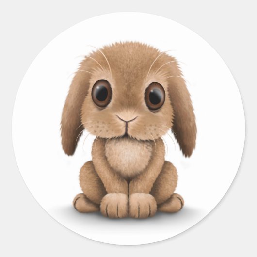 Sticker Rond Joli lapin lapin Brown sur blanc (Devant)
