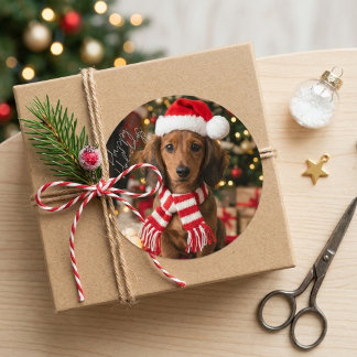 Sticker Rond Joli Noël Doxie Chapeau de Père Noël Vacances