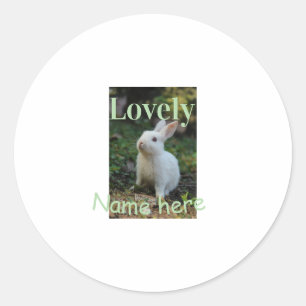 Sticker Rond Joli nom de photo de lapin de compagnie vert paste