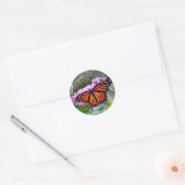 Sticker Rond Joli papillon Monarque Photo (Enveloppe)