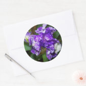 Sticker Rond Jolie Fleur Iris Violet (Enveloppe)