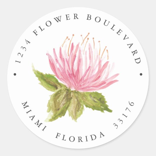 Sticker Rond Jolie fleur succulente rose verte Adresse de retou (Devant)