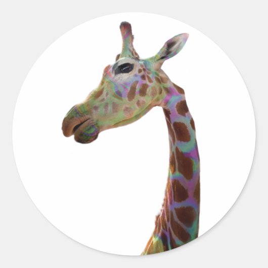 Sticker Rond Jolie Giraffe colorée (Devant)