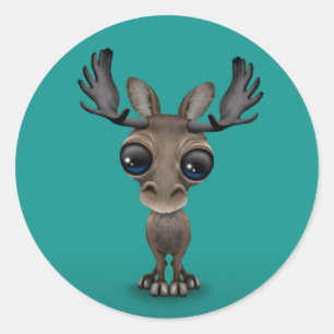Sticker Rond Jolie orignale curieuse aux grands yeux turquoise
