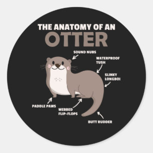 Sticker Rond Jolie Otter Explication Anatomie D'Une Otter