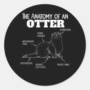 Sticker Rond Jolie Otter Explication Anatomie D'Une Otter