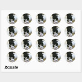 Sticker Rond Jolie photo de chatons noirs et blancs (Feuille)