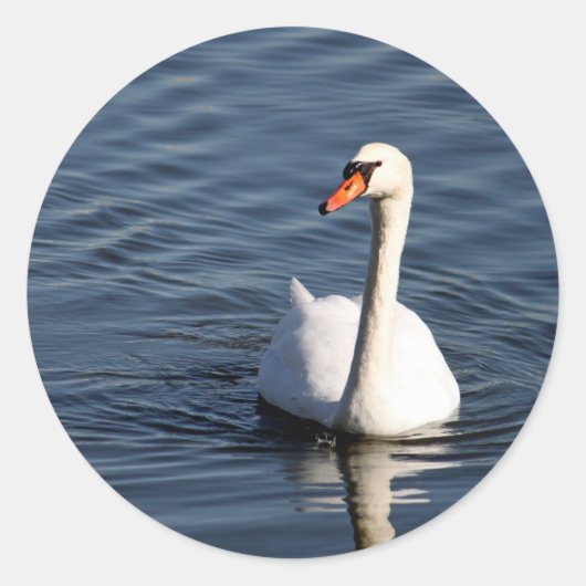 Sticker Rond Jolie photo de cygne blanc (Devant)