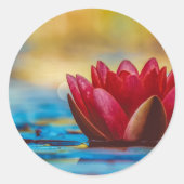 Sticker Rond Jolie photo d'une fleur de Lotus dans un étang (Devant)