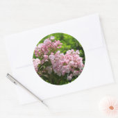 Sticker Rond Jolies fleurs de laurier rose (Enveloppe)