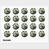 Sticker Rond Jolies roses blanches (Feuille)