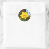Sticker Rond Jonquille dans le parc (Sac)