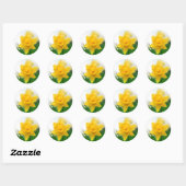 Sticker Rond jonquille de printemps (Feuille)