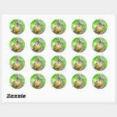 Sticker Rond Jote What's Up Envelope Seals (Feuille)
