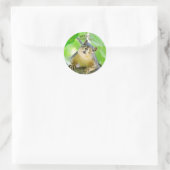 Sticker Rond Jote What's Up Envelope Seals (Sac)