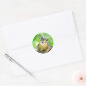 Sticker Rond Jote What's Up Envelope Seals (Enveloppe)