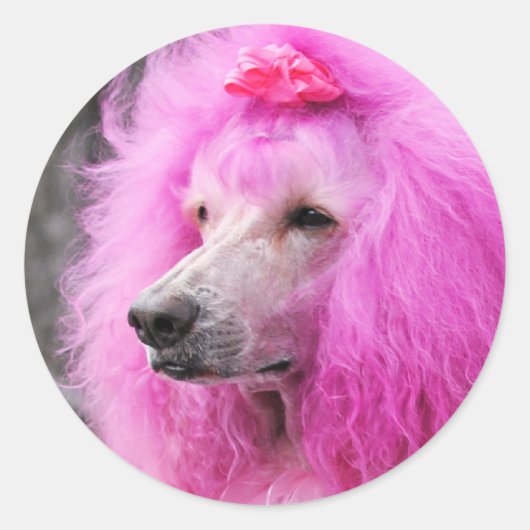 Sticker Rond Jour des canicules 2010 #11 (Devant)