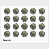 Sticker Rond Jour des terres photo Redwood Trees (Feuille)