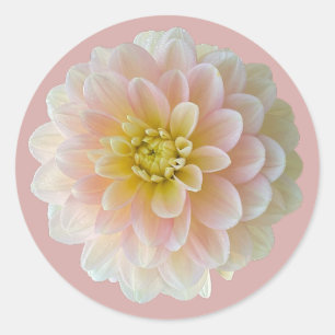 Sticker Rond Jour Dreamer Nénuphar Dahlia