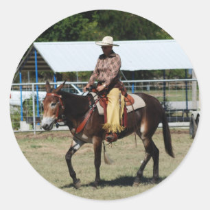 Sticker Rond jours de mule ozark