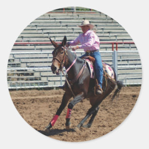 Sticker Rond jours de mule ozark