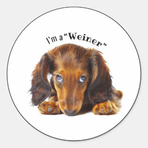 Sticker Rond Joyeuses vacances Dachshund Chien Animal Animaux A