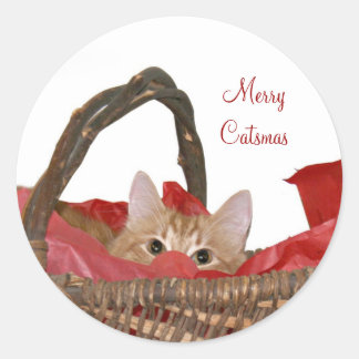 Sticker Rond Joyeux Catsmas