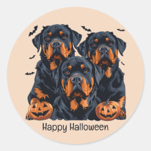 Sticker Rond Joyeux chien Rottweiler Halloween Jack-o'-lantern