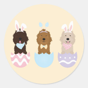 Sticker Rond Joyeux Chiens Goldendoodle de Pâques