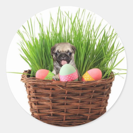 Sticker Rond Joyeux chiot du carlin de Pâques (Devant)