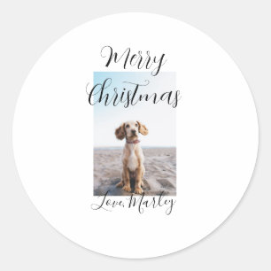Sticker Rond Joyeux Noël animal chat chat photo cadeaux de vaca