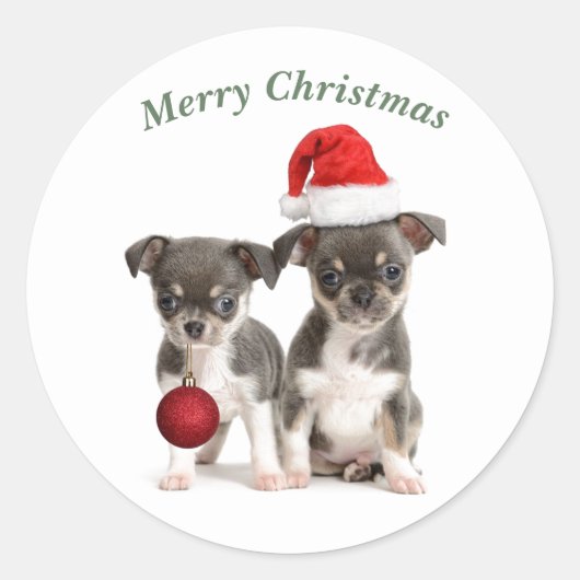 Sticker Rond Joyeux Noël Chihuahua Chiuppies (Devant)