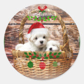 Sticker Rond Joyeux Noël, oh si mignon chiots, (Devant)